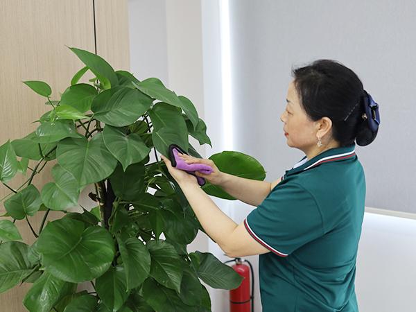 你真的了解保潔嗎？